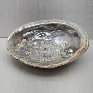 Large Natural Abalone Shell Iridescent Mother of Pearl Smudging Bowl